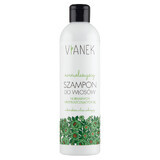 Vianek Vitalisierendes Haarshampoo 300ml.