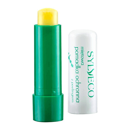 Sylveco Minzlippenbalsam  amp; Peeling, 4,6g - Entdecken Sie natürliche Pflege für geschmeidige Lippen