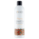 Vianek, shampoo for nourishing hair, 300 ml