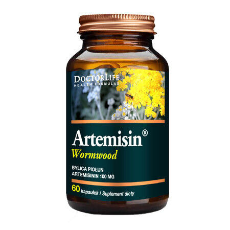 Doctor Life Artemisinin, Wermut, 60 Kapseln