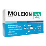 Molekin Vitamin D3 + K2 + MgB6 Complex - 60 Tabletten