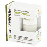 Regenerum, Regeneratives Nagelserum im Lack, 8 ml