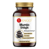 Yango, Mumio Shilajit, 90 Kapseln - Langfristig!