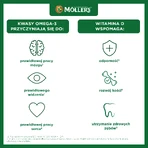Mi Primer Alimento Dietético Noruego de Moller, para más de 4 semanas, 250 ml