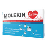 Molekin Herz-Komplex, 30 Tabletten