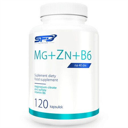 SFD Magnesium + Zink + B6, 120 Kapseln