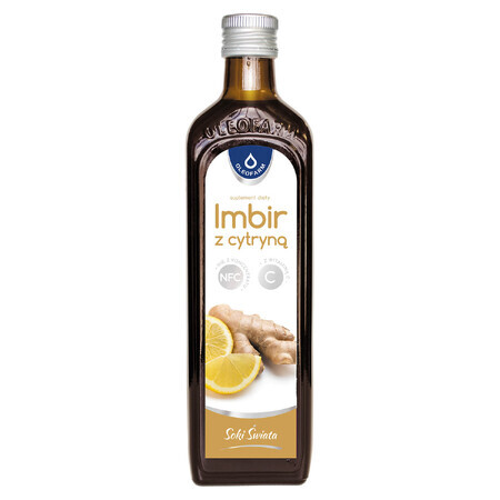 Ingwer-Zitronen-C-Vitamin Saft, 490 ml