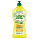 Morning Fresh Lemon, lichid concentrat de spălat vase, 900 ml