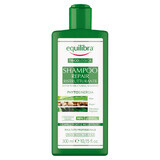 Equilibra, Reparierendes Restrukturierendes Shampoo, 300 ml