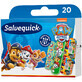 Salvequick Kinder-Wundpflaster Paw Patrol, 20 St&#252;ck