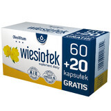 OleoVitum Teunisbloem, 60 capsules + 20 capsules als cadeau