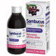 Sambucus Kids, Sirup f&#252;r Kinder ab 1 Jahr, Himbeergeschmack, 120 ml SHORT DATE