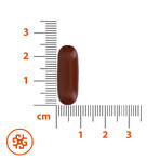 SEMA Lab Phospholipide Max 600 mg, 30 Kapseln