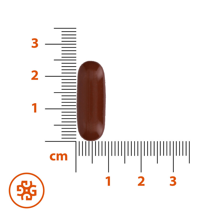 SEMA Lab Phospholipide Max 600 mg, 30 Kapseln