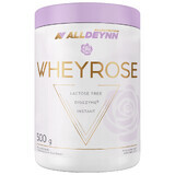 Allnutrition Alldeynn WheyRose, coffee flavor with sugar-free cookie pieces, 500 g