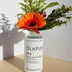 Olaplex Nr. 4, Intensiv aufbauendes Haarshampoo, 250 ml