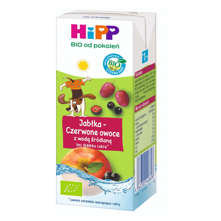 HiPP Bio drink, apples-red fruits with spring water, no added sugar, from 1 year, 200 ml