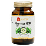 Yango Gurmar GS4, 60 Kapseln