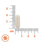 SEMA LAB Natriumbutyrat 150 mg, 60 Kapseln mit verzögerter Wirkstofffreisetzung