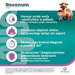 Recenum Junior, 30 mg, Granulat zur Herstellung einer Suspension zum Einnehmen, ab 6 Jahren, 10 Portionsbeutel