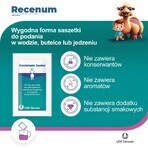 Recenum Junior, 30 mg, Granulat zur Herstellung einer Suspension zum Einnehmen, ab 6 Jahren, 10 Portionsbeutel