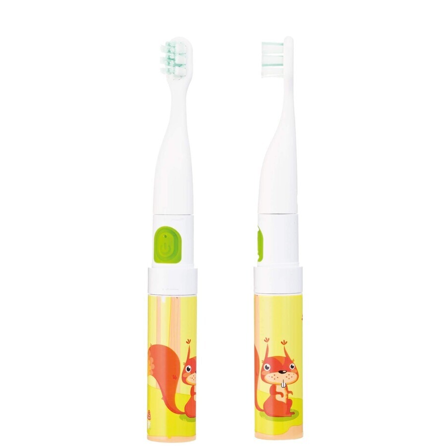 Vitammy Smile set, brosse à dents sonique pour enfants, écureuil + Dodo Memo Gooseberry, jeu, 24 cartes