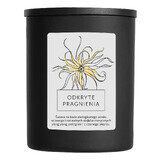 Hagi Desires discovered, soy candle, 230 g