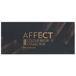 Affect Colour Brow Collection, wenkbrauwschaduwpalet, 10 x 2 g