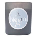 Flagolie, soy candle, Blissful Me, 150 g