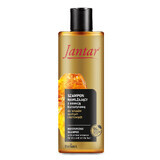 Farmona Jantar, feuchtigkeitsspendendes Shampoo mit Bernstein-Essenz, trockenes und sprödes Haar, 300 ml