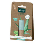 Kneipp Hydro Care, Lippenbalsam, Aloe Vera und Minze, 4,7 g