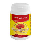 Elixirul tinereții Ganoderma 400mg, 60 capsule, Bio Synergie