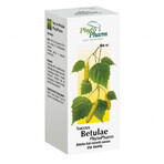 Succus Betulae Phytopharm 2,33 g/ 2,5 ml, líquido oral, 100 ml