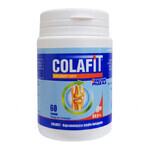 GorVita Colafit, 60 cuburi