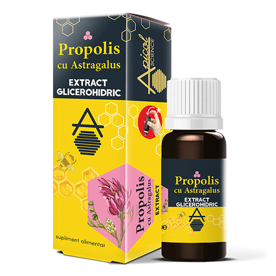 Propolis-Glycerid-Extrakt mit Astragalus ApicolScience, 30 ml, Dvr Pharm