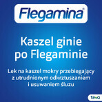 Flegamina Classic cu aromă de mentă fără zahăr 4 mg/ 5 ml, sirop, 120 ml