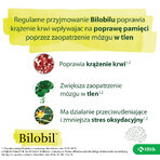 Bilobil Forte 80 mg, 60 cápsulas