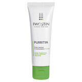 Iwostin Purritin, night cream that reduces imperfections, 40 ml