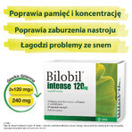 Bilobil Intense 120 mg, 60 Kapseln