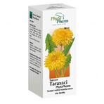 Succus Taraxaci Phytopharm 4.85 g/ 5 ml, liquide oral, 100 ml