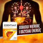 Essentiale Forte 300 mg, 50 Kapseln