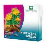 Alter Medica Arktiswurzel, 60 Tabletten