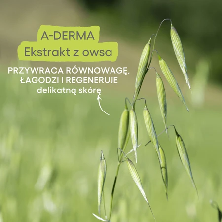 A-Derma, oczyszczająca kostka dermatologiczna do twarzy i ciała, 100 g: ceny i cechy