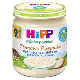 HiPP Homemade Delights Bio, rice milk with apples, after 9 months, 200 g