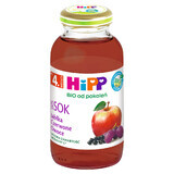 HiPP 100% Bio juice, red fruits, after 4 months, 200 ml