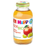 HiPP 100% Bio juice, apple-pair, no added sugar, after 4 months, 200 ml