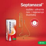 SeptaNazal para adultos (1 mg + 50 mg)/ ml, spray nasal, 10 ml