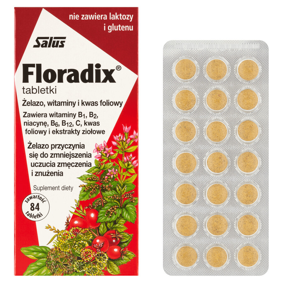 Floradix Eisen und Vitamine, 84 Tabletten