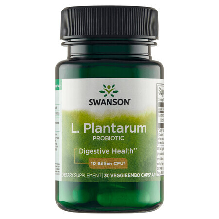 Swanson Probiotiques L. Plantarum, 30 gélules