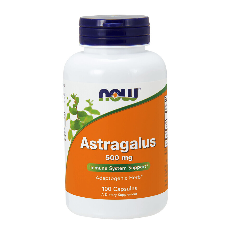 Now Foods, Astragalus 500 mg, 100 capsule